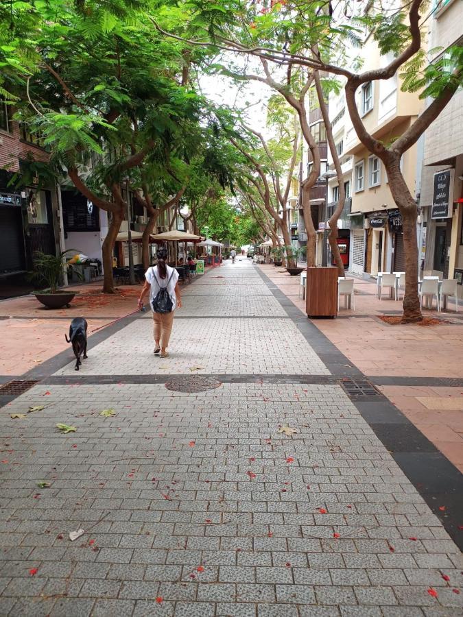 Center Santa Cruz, Alojamiento Centrico Con Gran Terraza, Cocina , Salon Y Banos, Todo Privado Santa Cruz de Tenerife Exterior foto